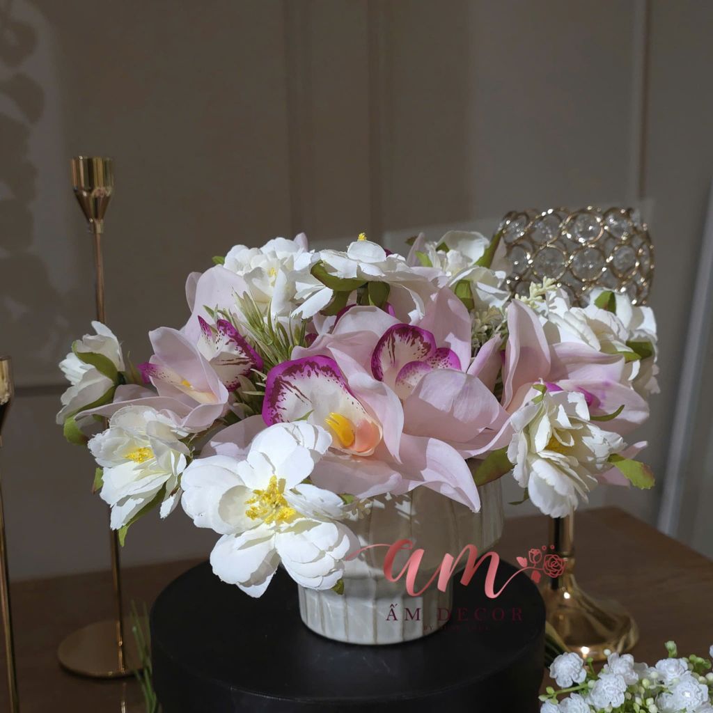 ZBÌNH HOA JASMINE ORCHID