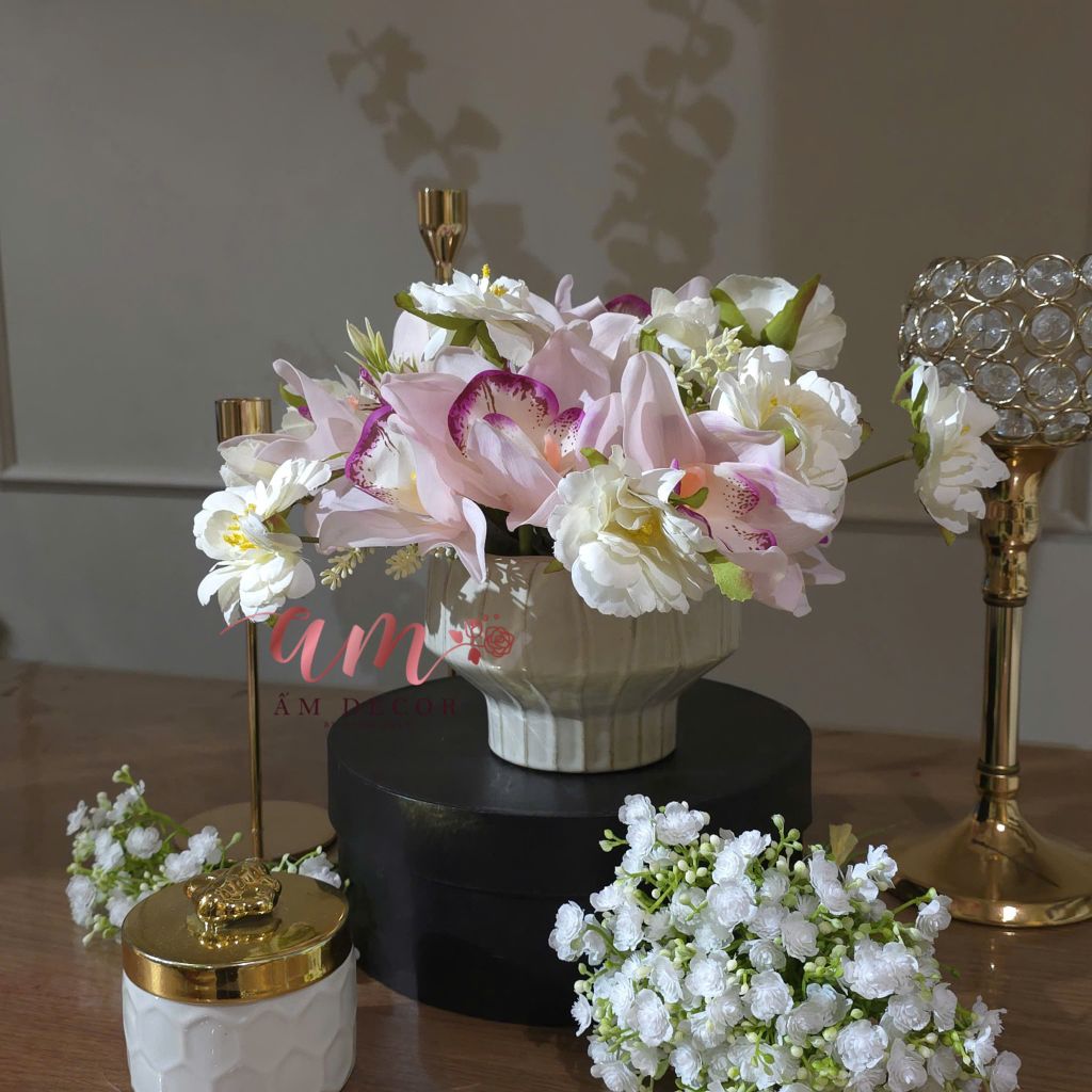 ZBÌNH HOA JASMINE ORCHID