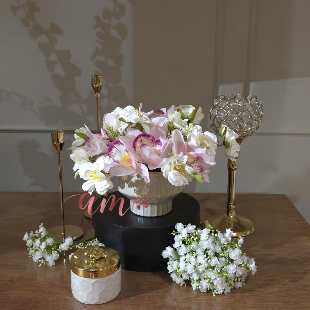 ZBÌNH HOA JASMINE ORCHID