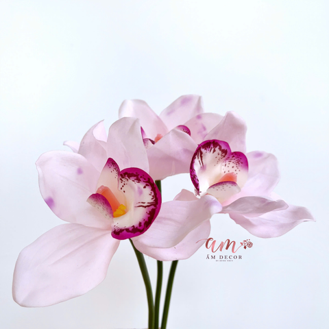  ĐỊA LAN NGẮN (HỒNG) 