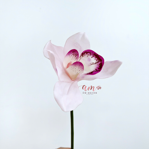  ĐỊA LAN NGẮN (HỒNG) 