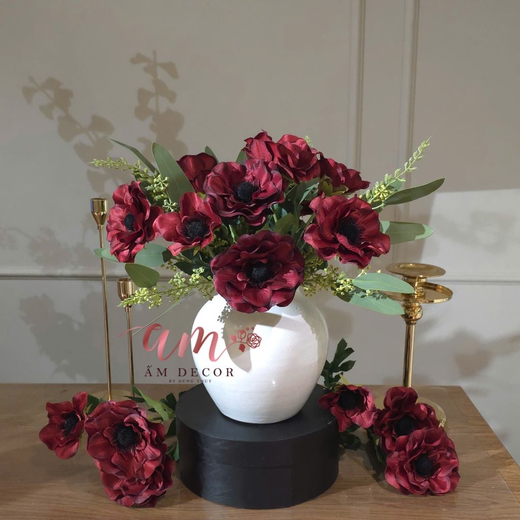 ZBÌNH HOA BEGONIA REDWINE