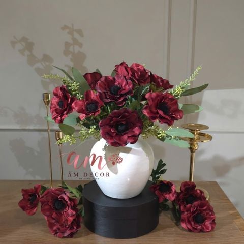  BÌNH HOA BEGONIA REDWINE 