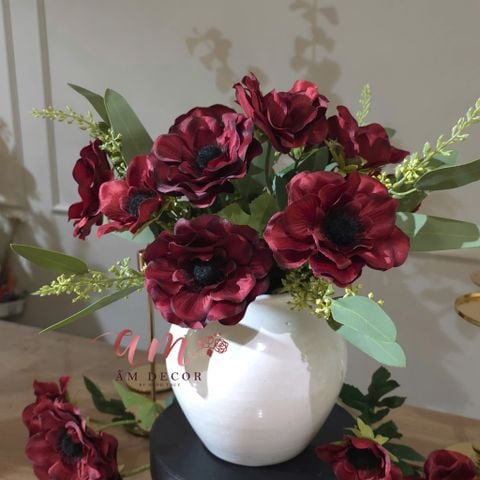  BÌNH HOA BEGONIA REDWINE 