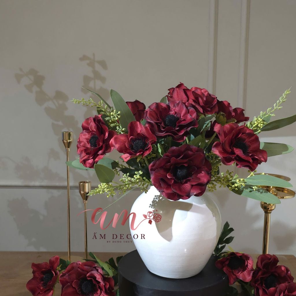 ZBÌNH HOA BEGONIA REDWINE