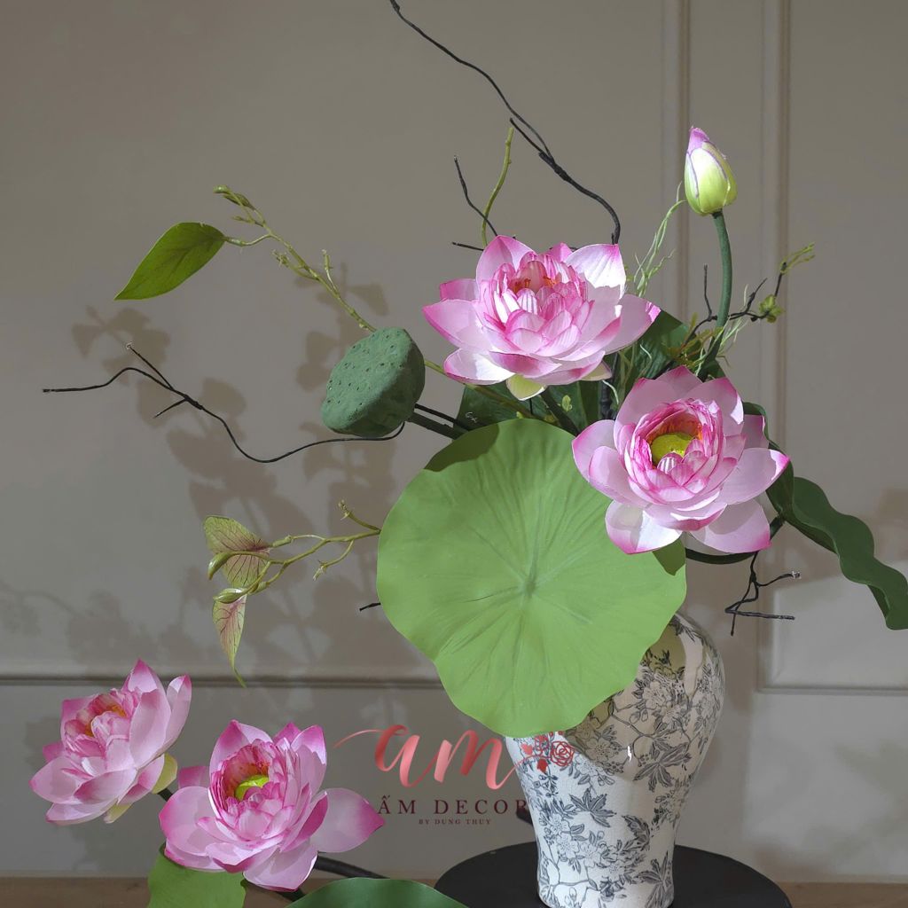ZBÌNH HOA CLASSIC LOTUS