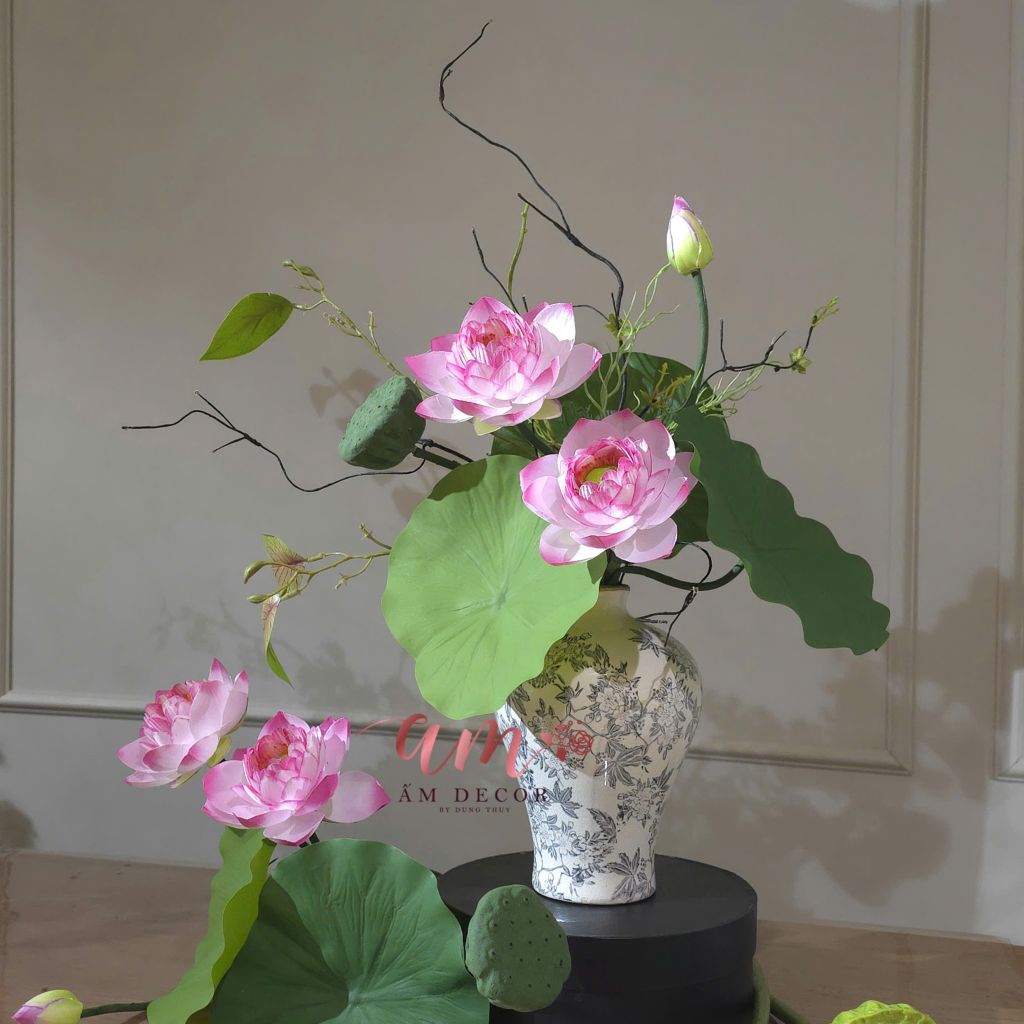 ZBÌNH HOA CLASSIC LOTUS