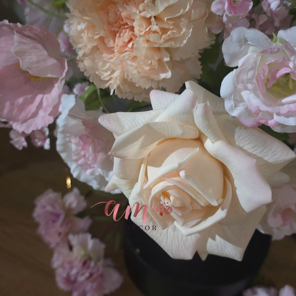 ZBÌNH HOA ANGEL ROSÉ