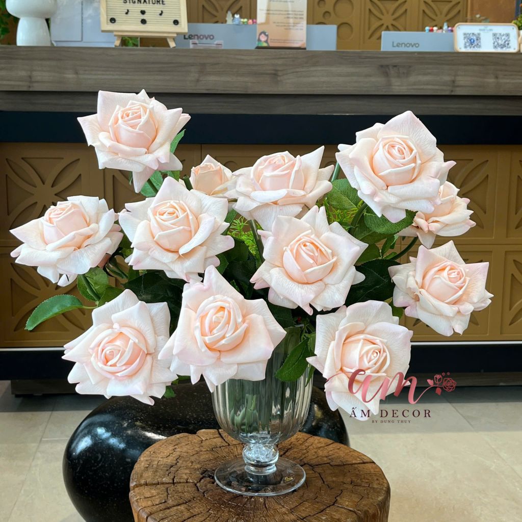 ZBÌNH HOA AUSTIN ROSE