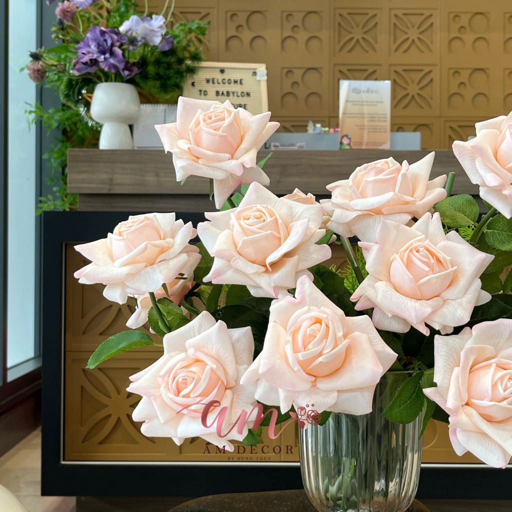 ZBÌNH HOA AUSTIN ROSE