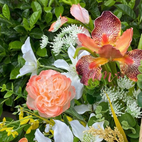 Giỏ Hoa Coral Bloom 