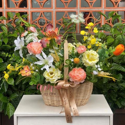  Giỏ Hoa Coral Bloom 