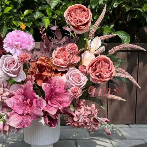  BÌNH HOA LADY MAUVE 