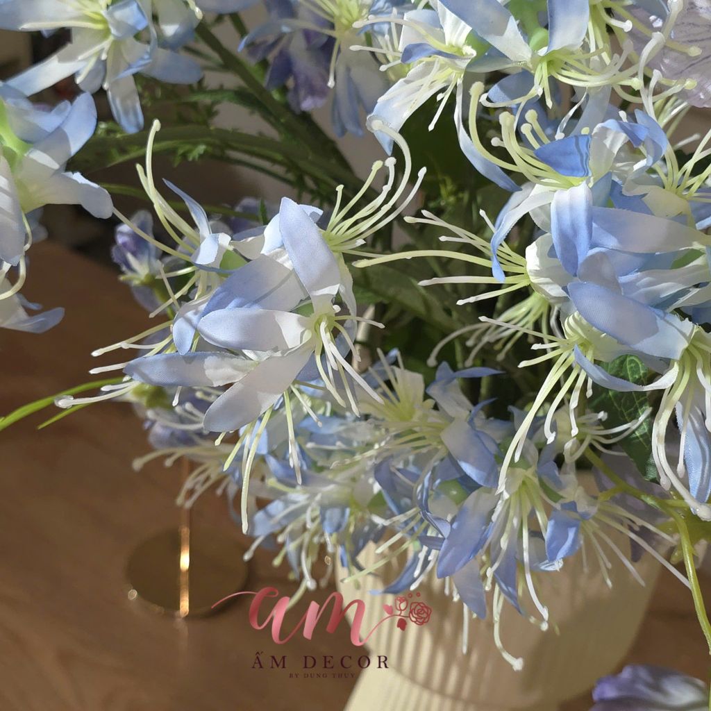 BÌNH HOA HYDRANGEA DREAM