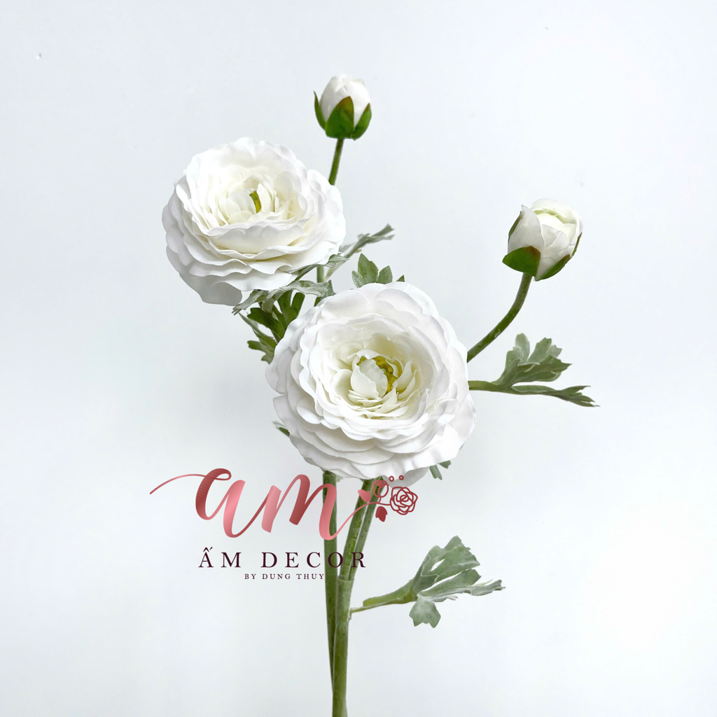 MAO LƯƠNG MẪU ĐƠN (Trắng)