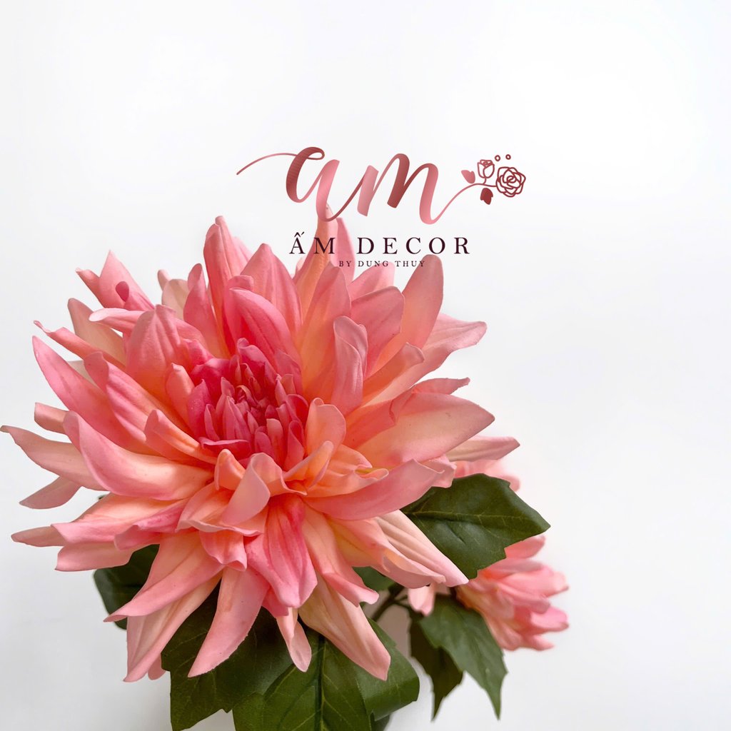 THƯỢC DƯỢC ẨM XỊN KÉP (Kem Cam)