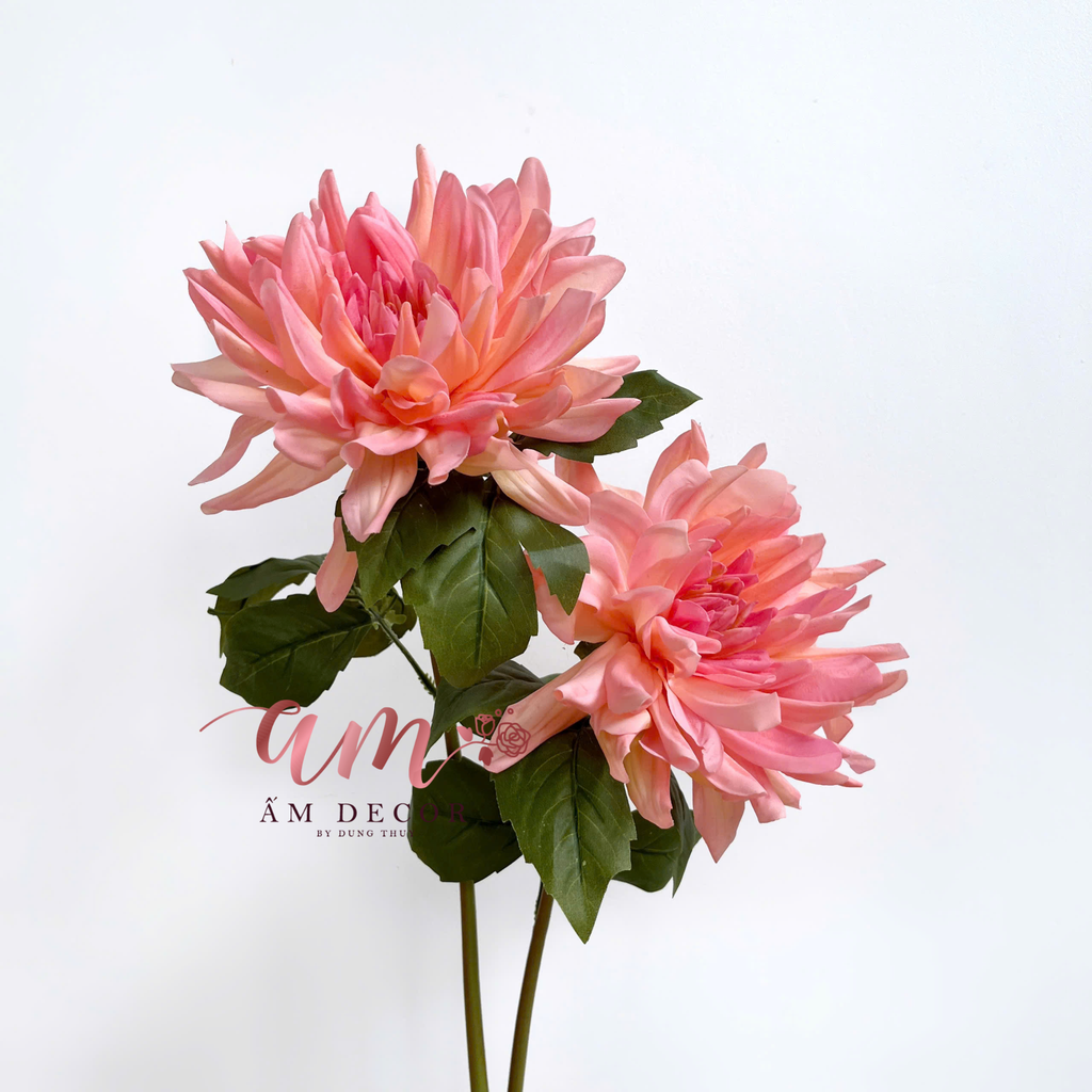 THƯỢC DƯỢC ẨM XỊN KÉP (Kem Cam)