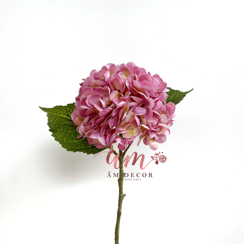  CẨM TÚ CẦU DƯỠNG ẨM (Hồng Đậm) 