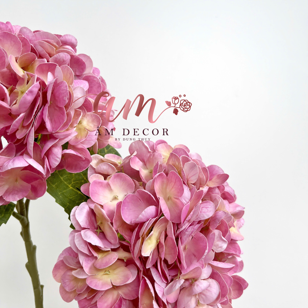 CẨM TÚ CẦU DƯỠNG ẨM (Hồng Đậm)