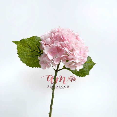  CẨM TÚ CẦU DƯỠNG ẨM (Hồng Phấn) 