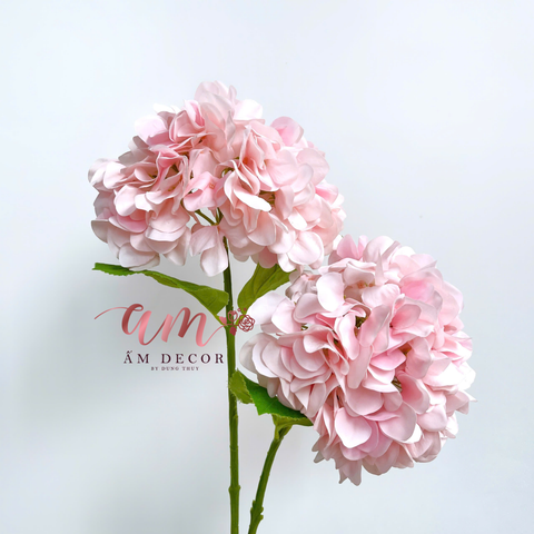  CẨM TÚ CẦU ENDLESS SUMMER BRIDAL (Hồng) 