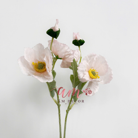  ANH TÚC CÀNH NGẮN (Kem) 