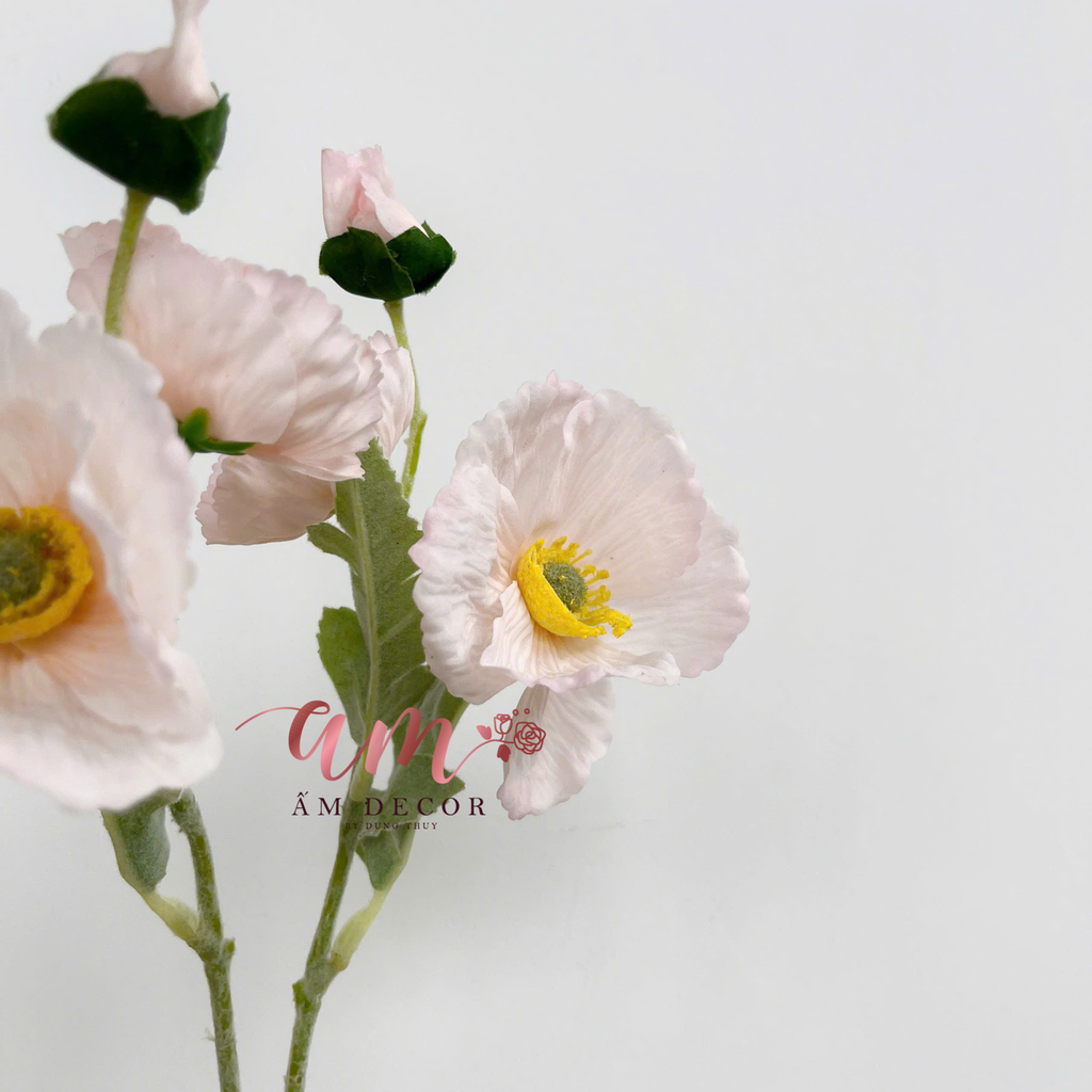 ANH TÚC CÀNH NGẮN (Kem)