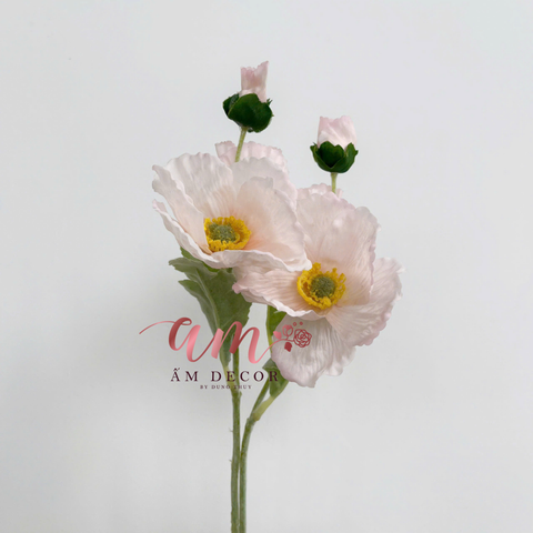  ANH TÚC CÀNH NGẮN (Kem) 