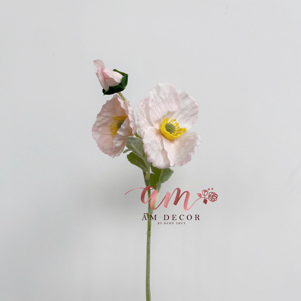 ANH TÚC CÀNH NGẮN (Kem)