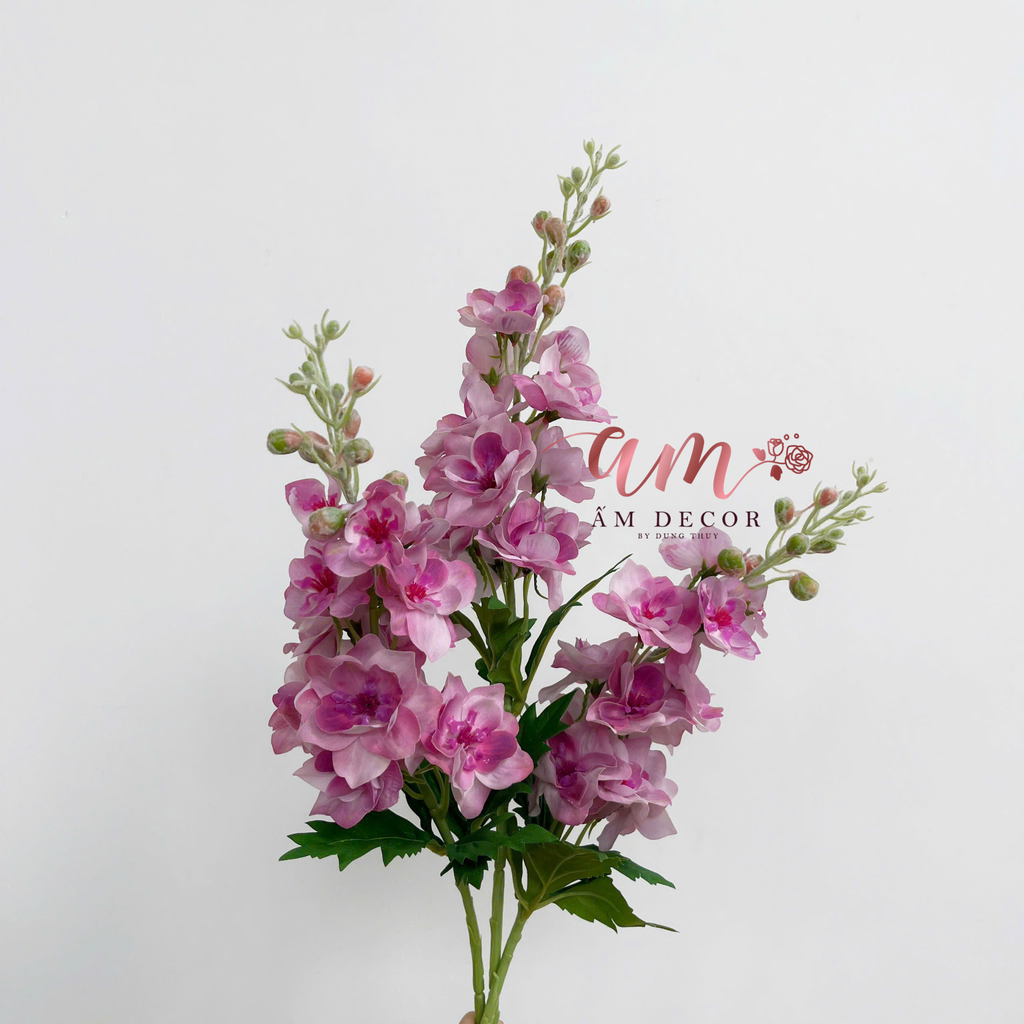 PHI YẾN DƯỠNG ẨM (Hồng)