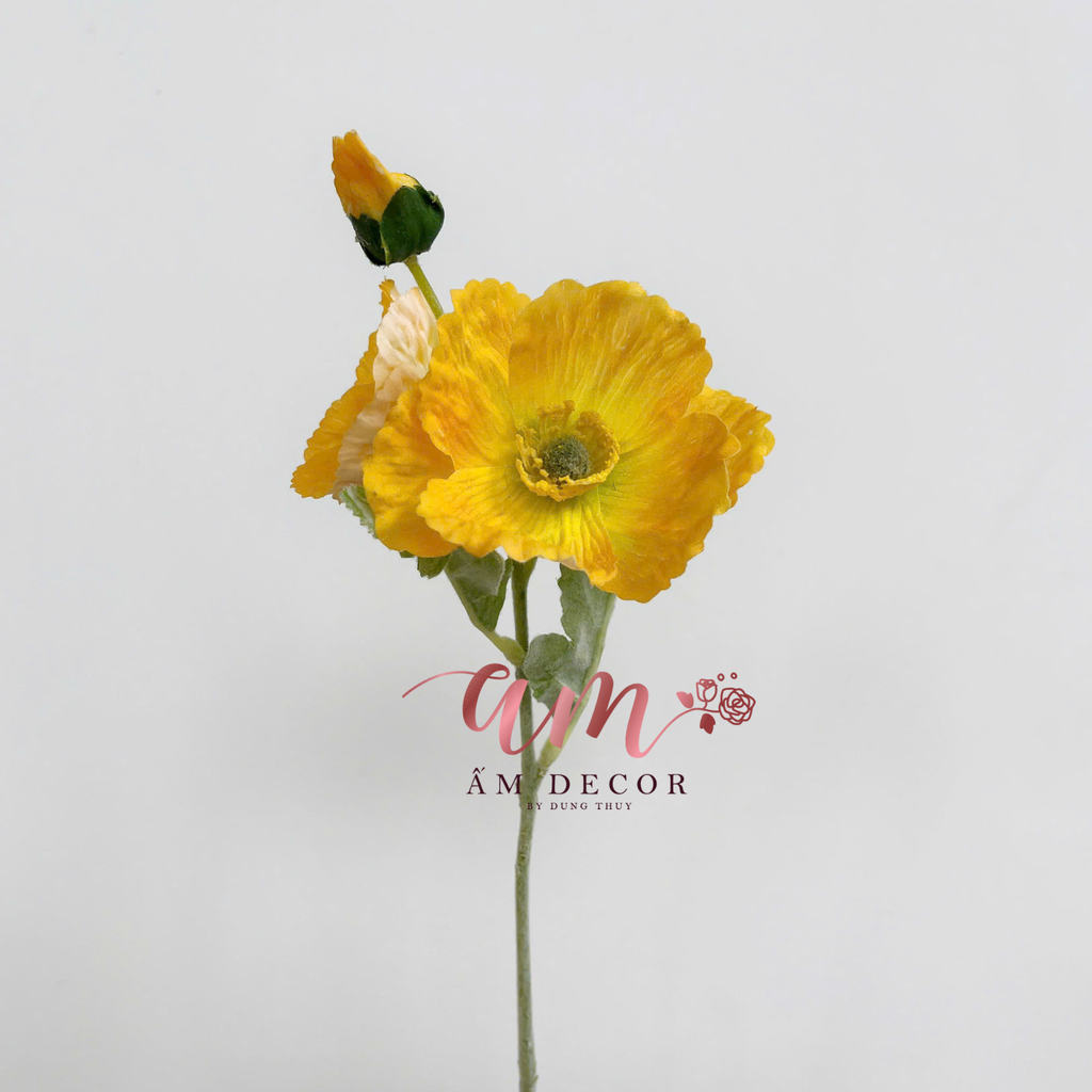 ANH TÚC CÀNH NGẮN (VÀNG)