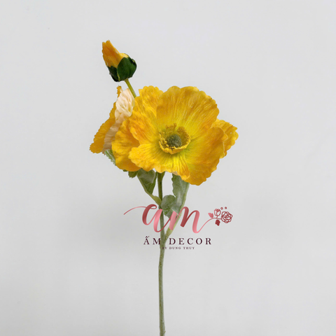  ANH TÚC CÀNH NGẮN (VÀNG) 