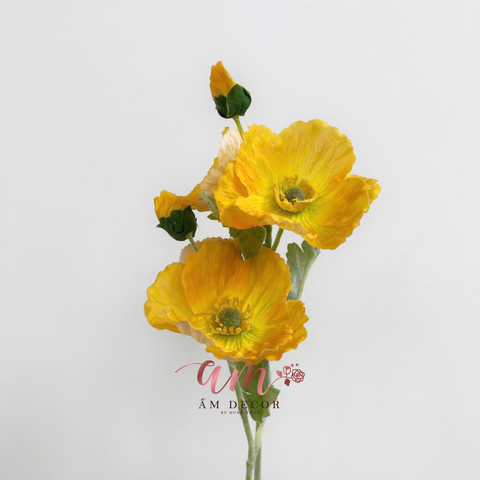  ANH TÚC CÀNH NGẮN (VÀNG) 