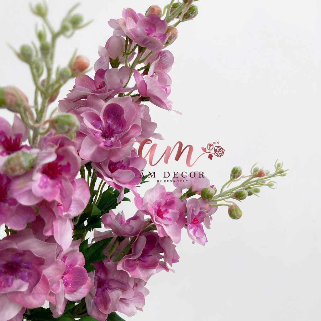 PHI YẾN DƯỠNG ẨM (Hồng)