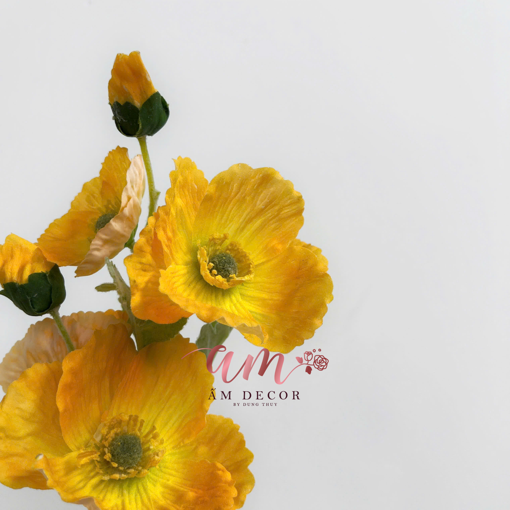 ANH TÚC CÀNH NGẮN (VÀNG)