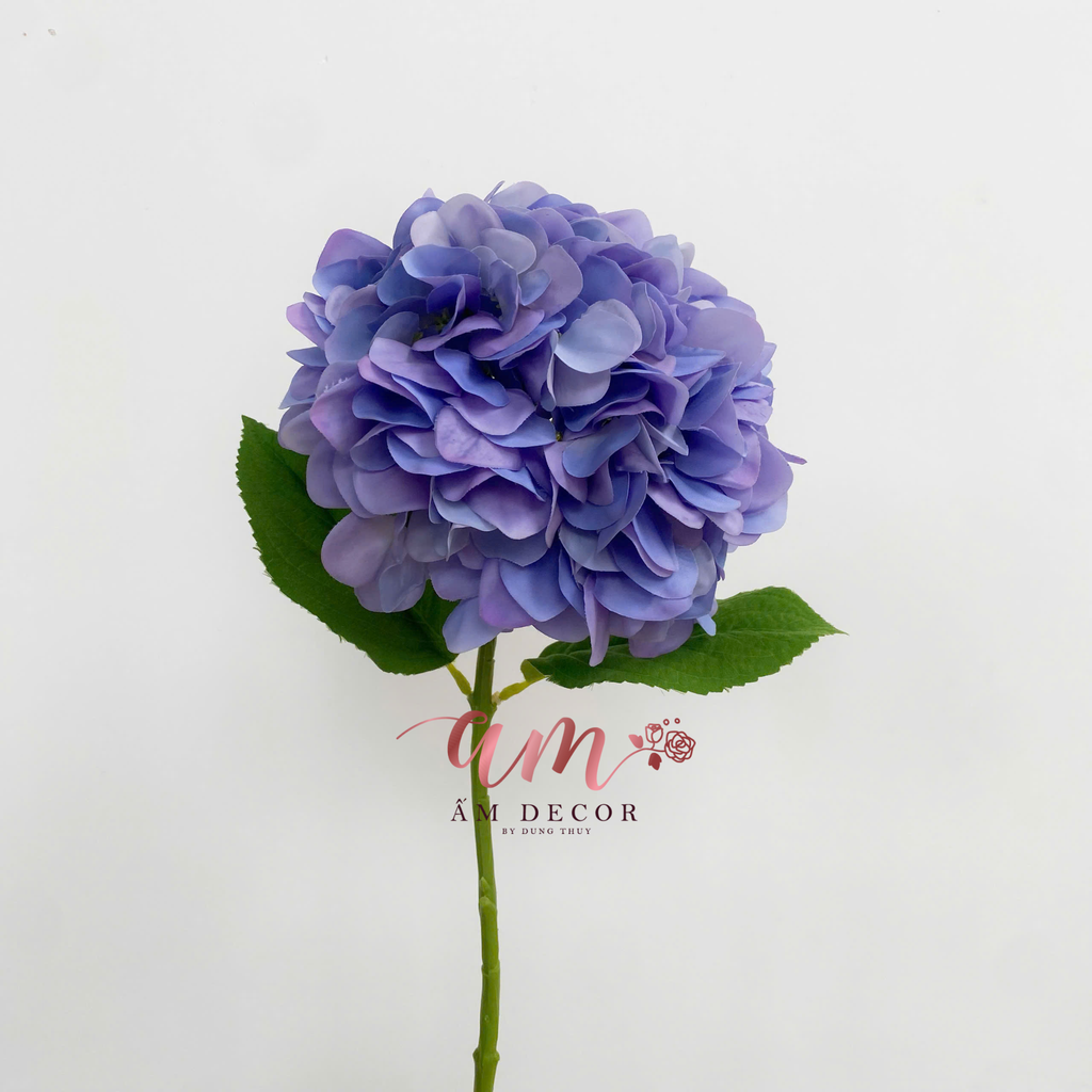 CẨM TÚ CẦU ENDLESS SUMMER BRIDAL (Xanh Dương)