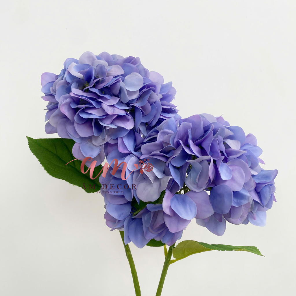 CẨM TÚ CẦU ENDLESS SUMMER BRIDAL (Xanh Dương)