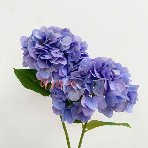  CẨM TÚ CẦU ENDLESS SUMMER BRIDAL (Xanh Dương) 