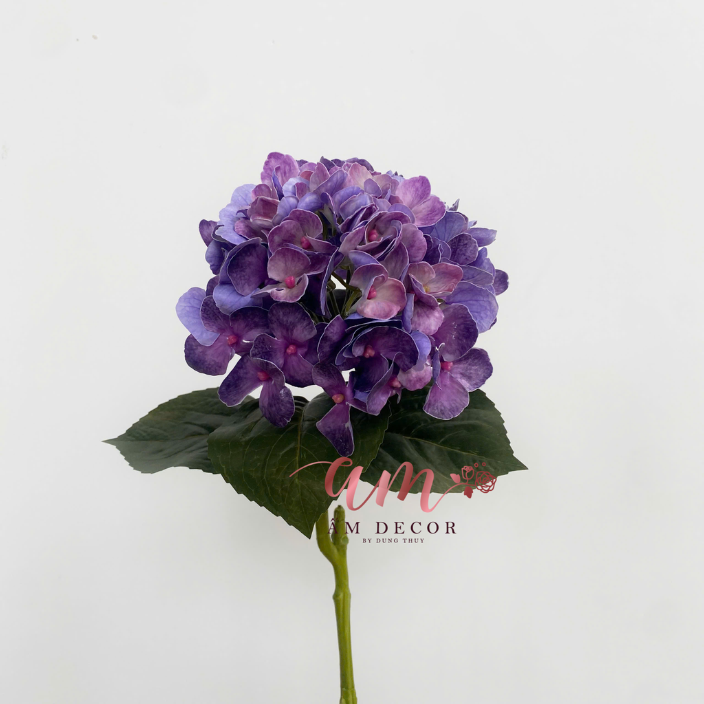 CẨM TÚ CẦU DƯỠNG ẨM 3D HAWAI (Tím)