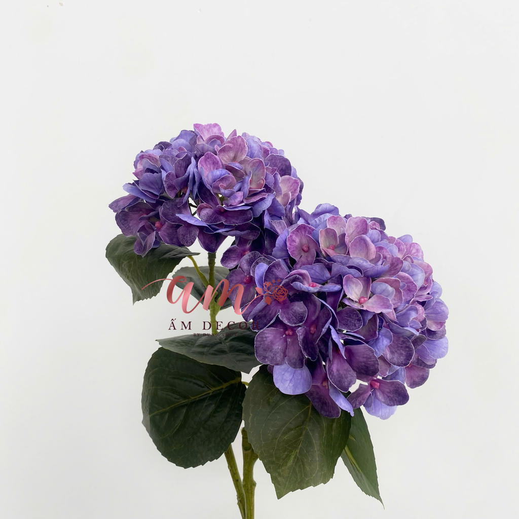 CẨM TÚ CẦU DƯỠNG ẨM 3D HAWAI (Tím)