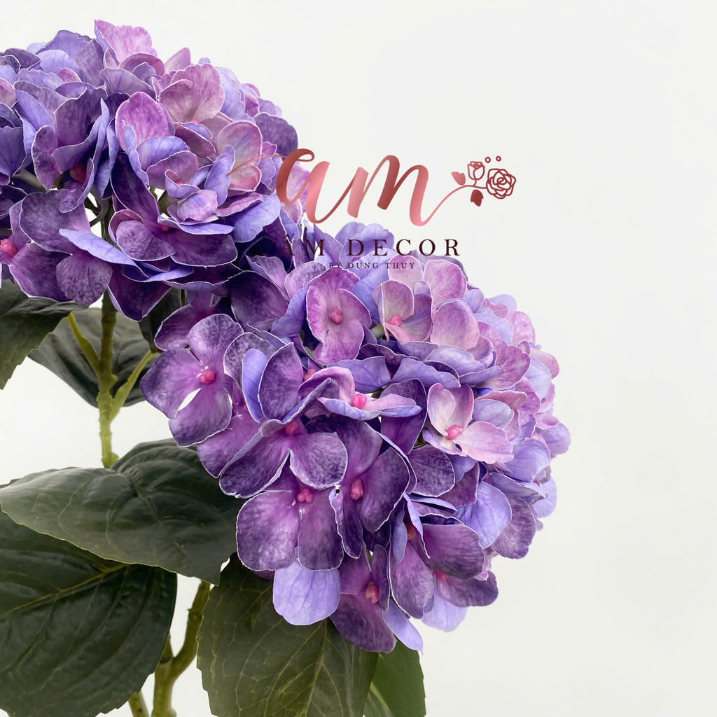 CẨM TÚ CẦU DƯỠNG ẨM 3D HAWAI (Tím)