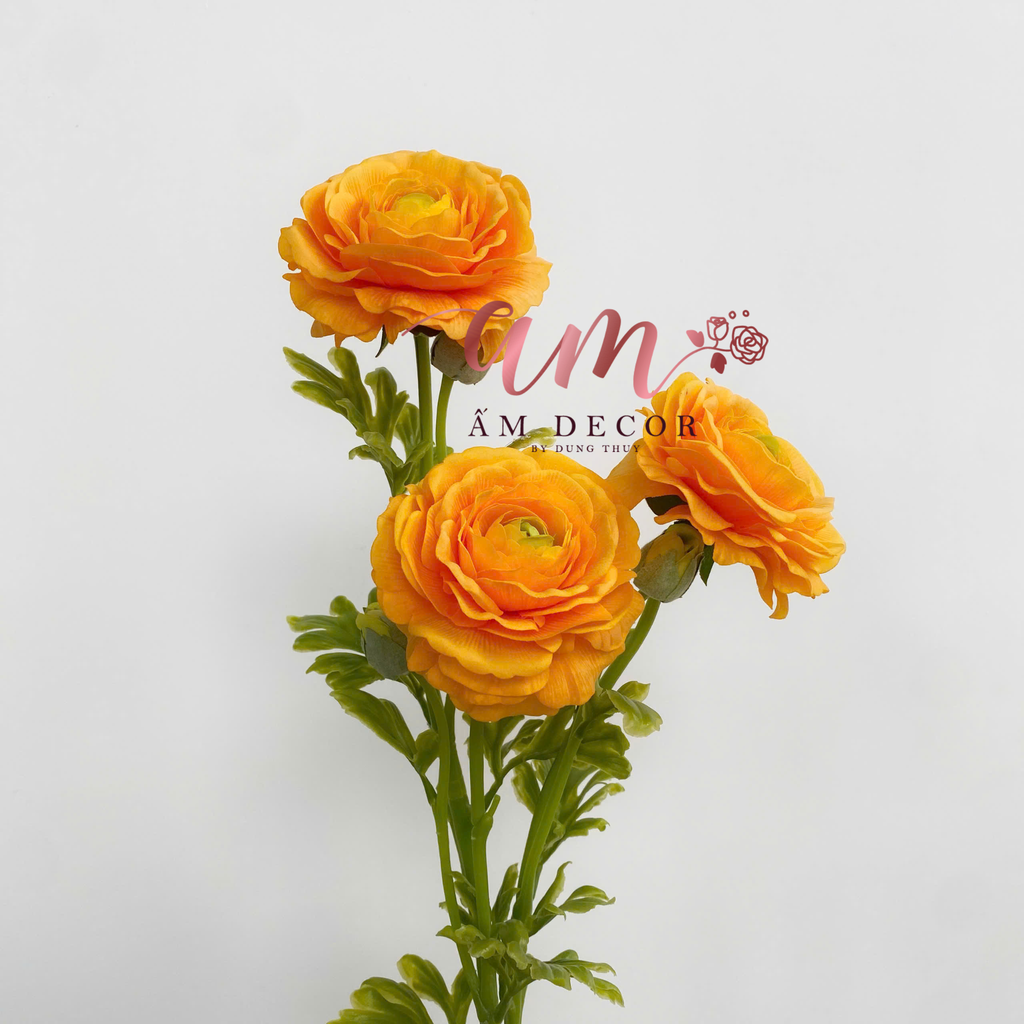 MAO LƯƠNG LỤA ẨM (Vàng Cam)