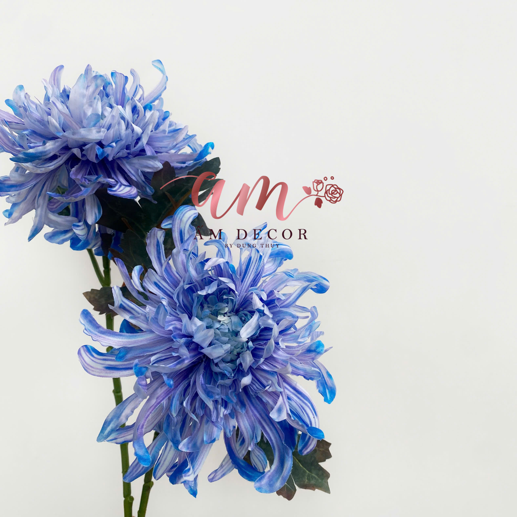 HOA CÚC ĐẠI ĐÓA 3D (Xanh Dương)