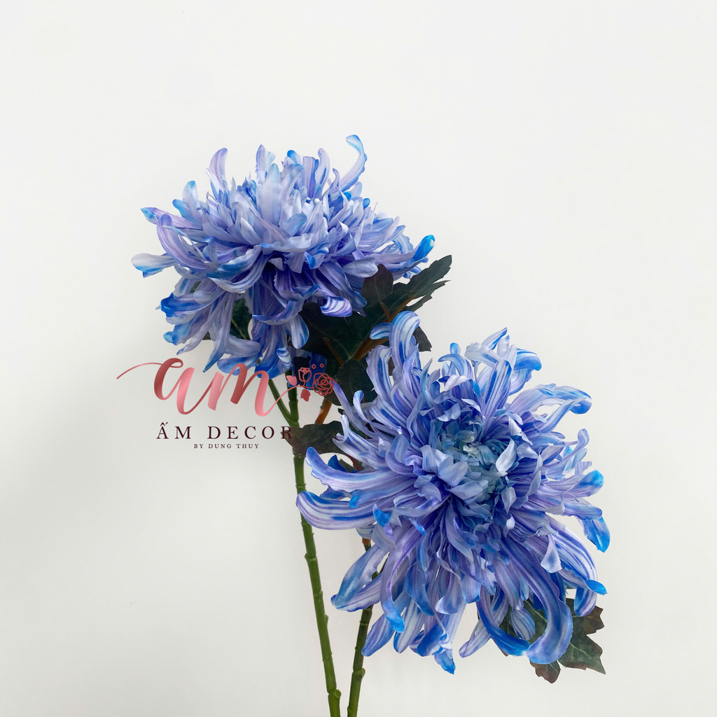 HOA CÚC ĐẠI ĐÓA 3D (Xanh Dương)