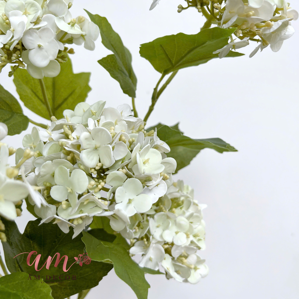 CẨM TÚ CẦU NHÍ (Bơ)