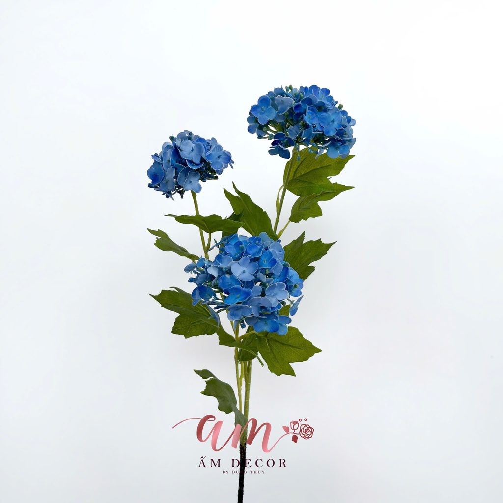 CẨM TÚ CẦU NHÍ ( Xanh Dương)