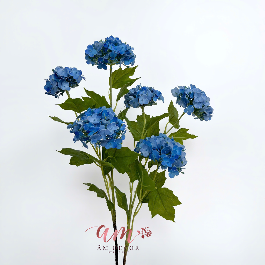 CẨM TÚ CẦU NHÍ ( Xanh Dương)