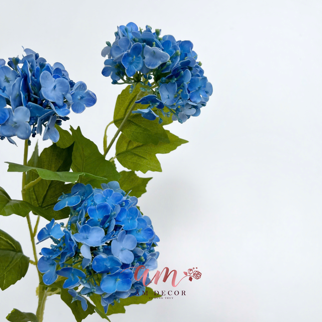 CẨM TÚ CẦU NHÍ ( Xanh Dương)