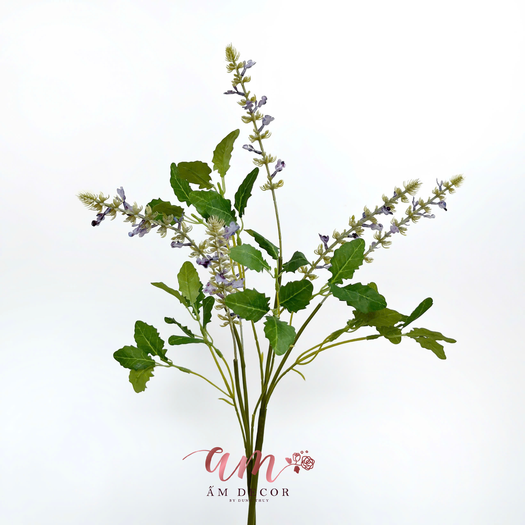 OẢI HƯƠNG CỎ XÔ THƠM (TÍM)