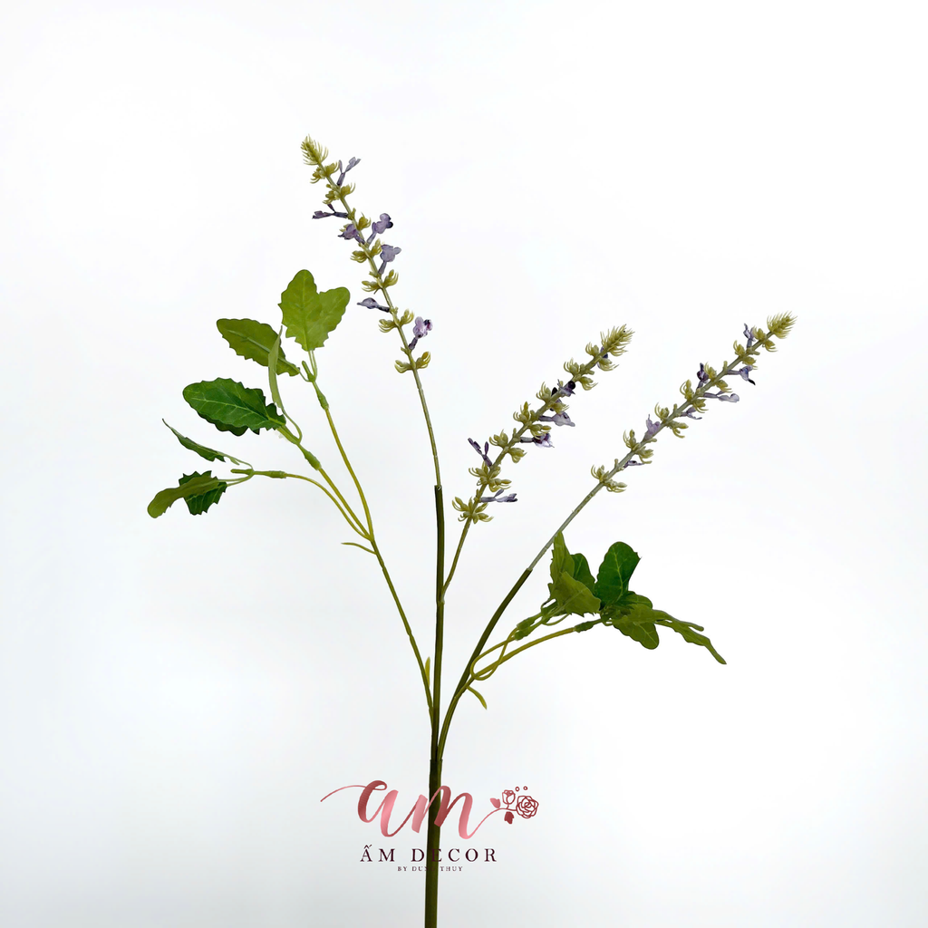 OẢI HƯƠNG CỎ XÔ THƠM (TÍM)